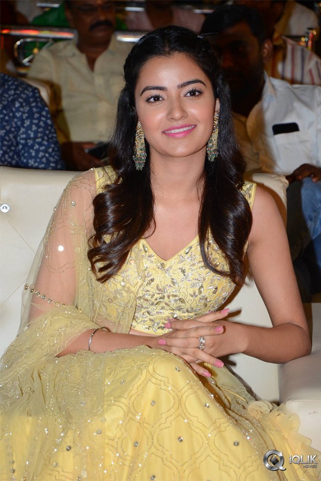 Krishnarjuna-Yuddham-Pre-Release-Function